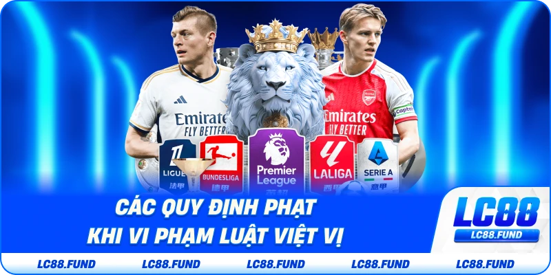 Các Quy Định Phạt Khi Vi Phạm Luật Việt Vị