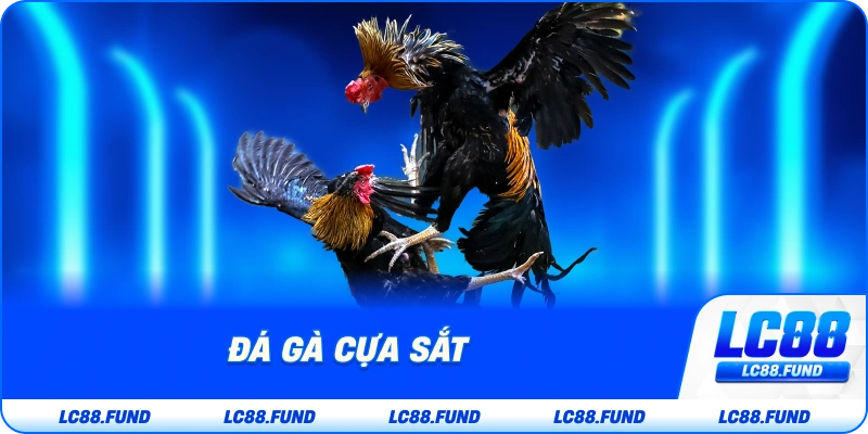 Đá Gà Cựa Sắt