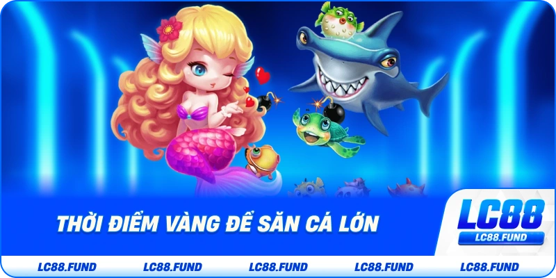 Thời Điểm Vàng Để Săn Cá Lớn