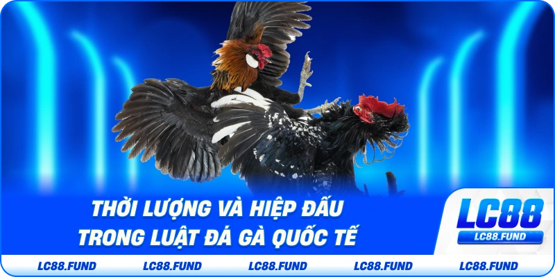 Thời Lượng Và Hiệp Đấu Trong Luật Đá Gà Quốc Tế